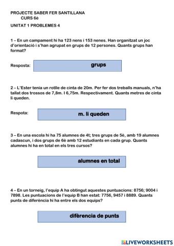 Problemes matemàtiques