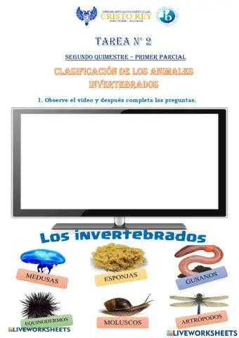 Clasificación y característica de los animales invertebrados