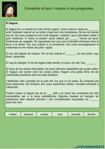 Comprensió lectora 07