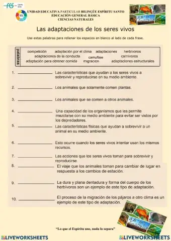 Adaptaciones de los seres vivos