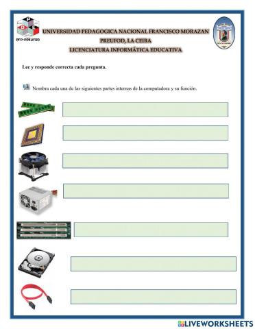 Partes internas de la computadora