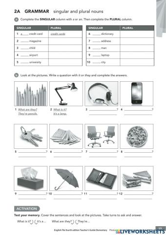 Singular and plural nouns