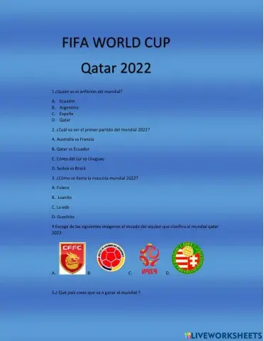 Mundial Qatar 2022