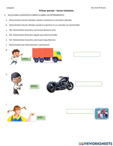 Evaluacion de lenguaje