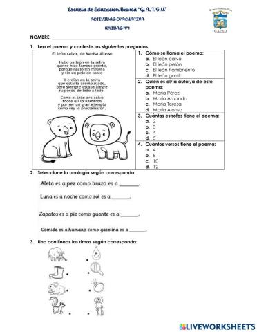 Actividad evaluativa