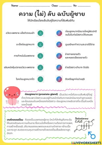 ความ(ไม่)ลับ ฉบับผู้ชาย