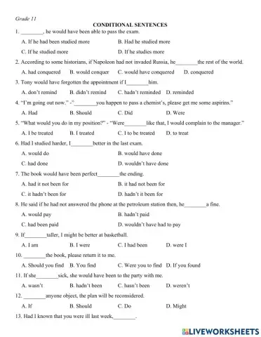 Multiple choice Conditional Sentences