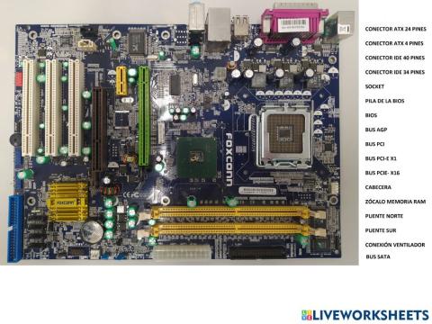 Partes de la placa base