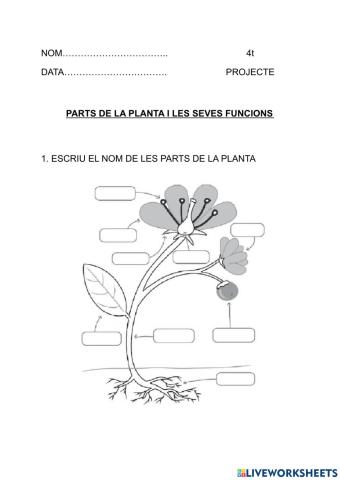Parts de la Planta