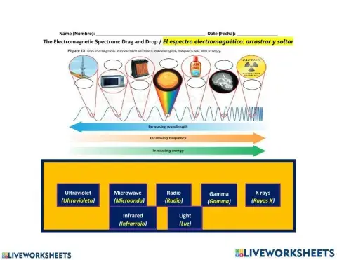 Electromagnetic Spectrum by ferhadasghad1966