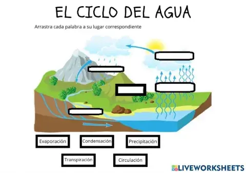 El ciclo del agua