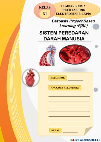 Sistem Peredaran Darah Manusia