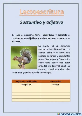 Sustantivo y adjetivo