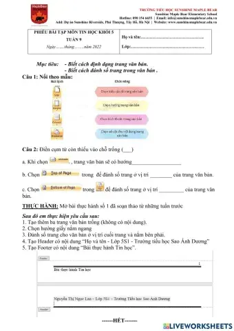 Tin học 5-tuần 9