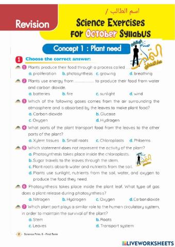 امتحان الصف الخامس اكتةبر 2022