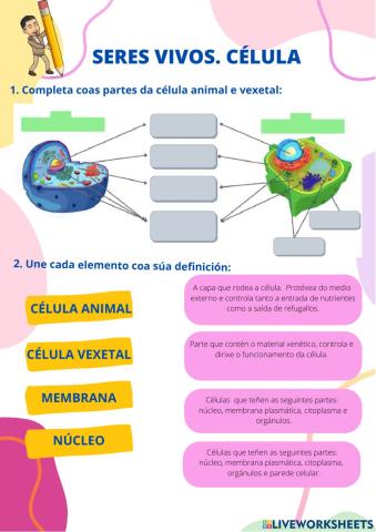 A célula animal e vexetal