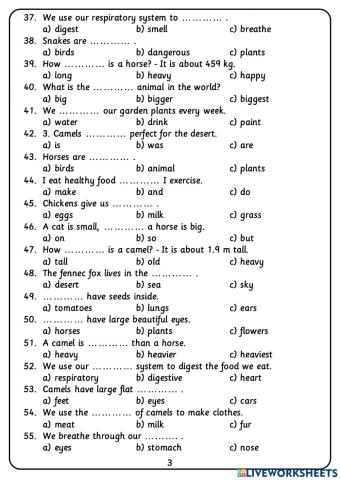 Worksheet 3