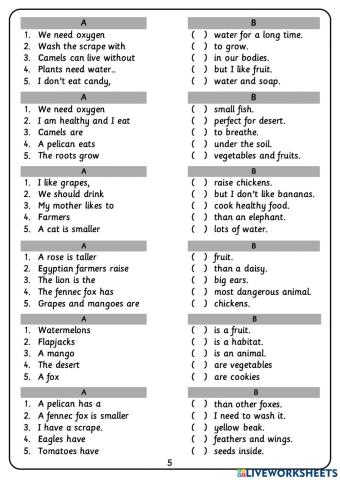 Connect 4. Worksheet 5