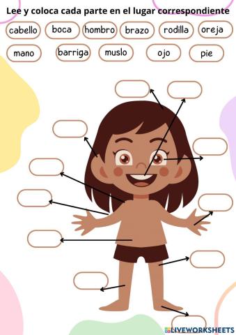 Las partes del cuerpo