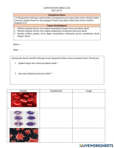 Sistem Sirkulasi Kelas XI