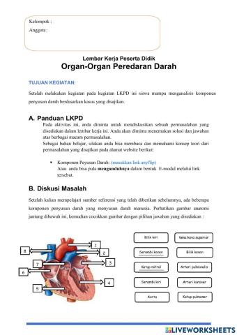 Organ Peredaran Darah