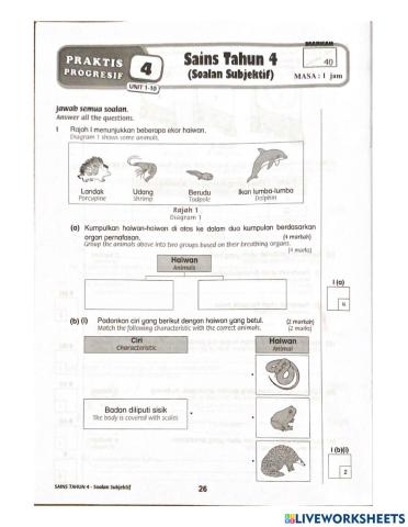 Y4 Revision