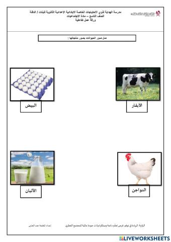 الأبقار والدواجن