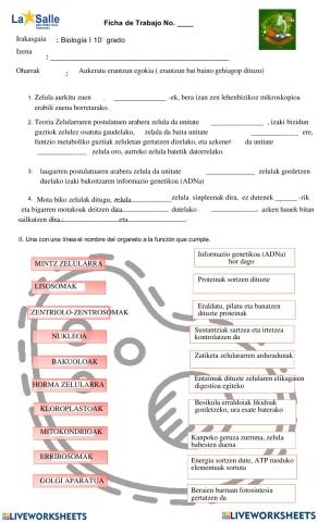 Organulo zelularren funtzioak