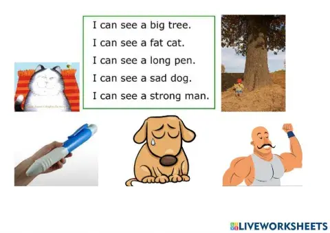 Vocabulary: matching exercise