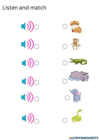 Kids Box 1, 7 Animals