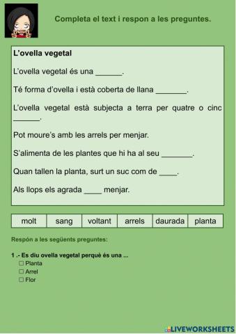 Comprensió leccora 03