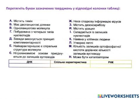 Порівняння ДНК і РНК