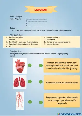 LKPD Sistem Peredaran Darah Kelas 5 Tema 4 Subtema 1 Pembelajaran 1