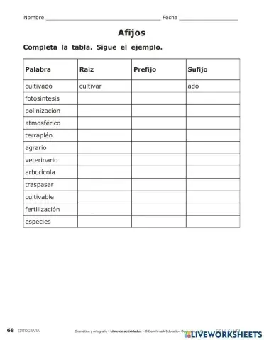 Sufijos, prefijos, raíz