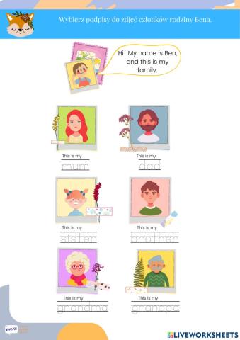 Family i wonder starter