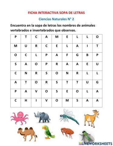 Sopa Letras Animales Vertebrados e Invertebrados