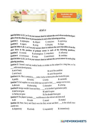 Đề 13 (HSG lop 9 )