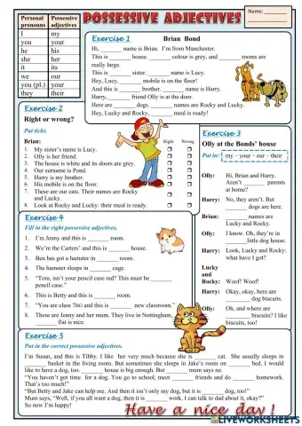 Possessive adjectives