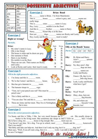 Possessive adjectives