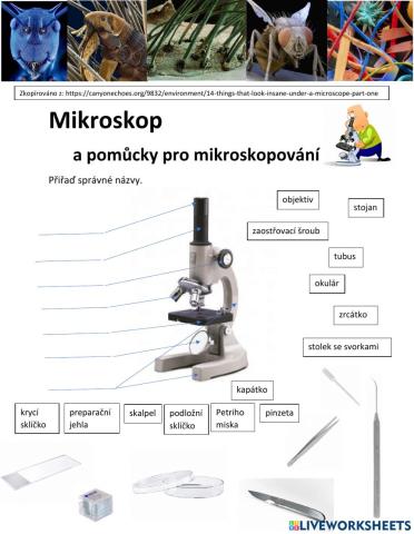 Mikroskop a mikroskopovací potřeby