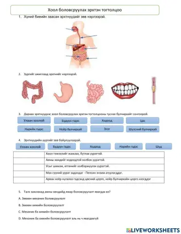Хоол боловсруулах эрхтэн тогтолцоо