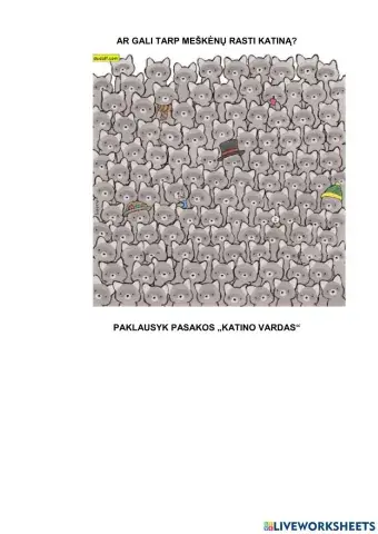 Pasaka „Katino vardas“