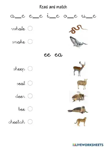 Read and match aniamals a-e ee ea