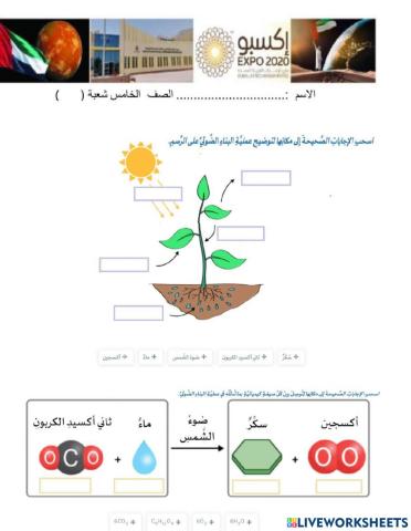 البناء الضوئي