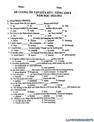 Grade 8 - review giua hoc ki 1