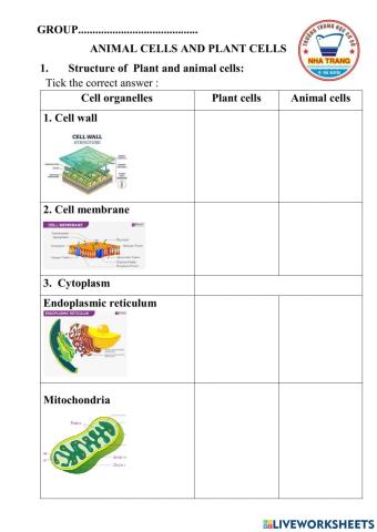 Animal and plant cells