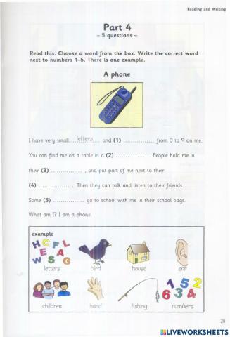 Reading Test 3 (Starters)