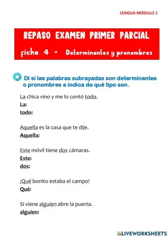 Determinantes y pronombres