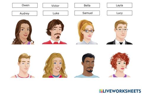 Describing people: appearance