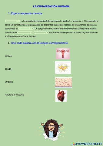 La organización humana